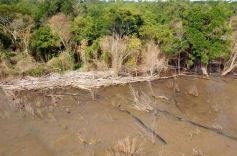 Foto de la galería: Busqueda por aire y tierra