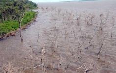 Foto de la galería: Busqueda por aire y tierra
