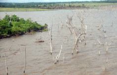 Foto de la galería: Busqueda por aire y tierra