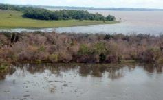 Foto de la galería: Busqueda por aire y tierra
