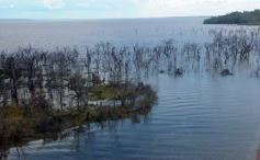 Foto de la galería: Busqueda por aire y tierra