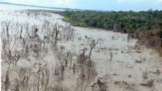 Foto de la galería: Busqueda por aire y tierra