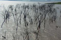 Foto de la galería: Busqueda por aire y tierra