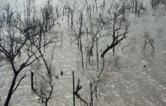 Foto de la galería: Busqueda por aire y tierra