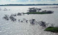 Foto de la galería: Busqueda por aire y tierra