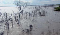 Foto de la galería: Busqueda por aire y tierra