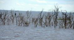 Foto de la galería: Busqueda por aire y tierra