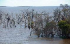 Foto de la galería: Busqueda por aire y tierra