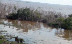 Foto de la galería: Busqueda por aire y tierra