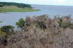 Foto de la galería: Busqueda por aire y tierra