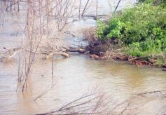 Foto de la galería: Busqueda por aire y tierra