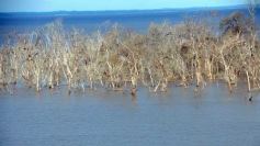 Foto de la galería: Busqueda por aire y tierra