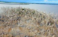 Foto de la galería: Busqueda por aire y tierra