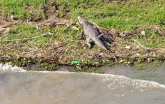 Foto de la galería: Busqueda por aire y tierra