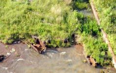 Foto de la galería: Busqueda por aire y tierra