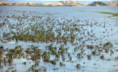 Foto de la galería: Busqueda por aire y tierra