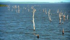 Foto de la galería: Busqueda por aire y tierra