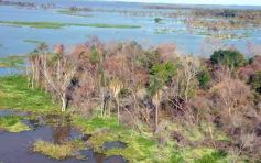 Foto de la galería: Busqueda por aire y tierra