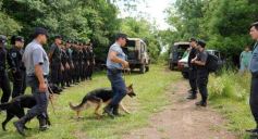 Foto de la galería: Busqueda por aire y tierra