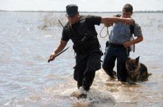Foto de la galería: Busqueda por aire y tierra