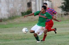 Foto de la galería: Brown 2-Mado Delicia 0