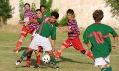 Foto de la galería: Brown 2-Mado Delicia 0