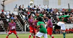Foto de la galería: Brown 2-Mado Delicia 0
