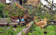 Foto de la galería: Primeras horas después del tornado en Tobuna