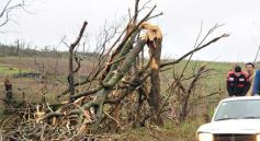 Foto de la galería: Primeras horas después del tornado en Tobuna