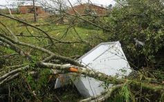 Foto de la galería: Primeras horas después del tornado en Tobuna