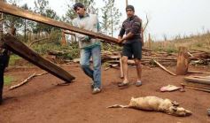 Foto de la galería: Primeras horas después del tornado en Tobuna