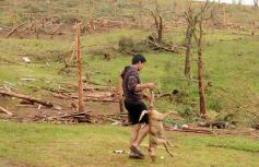 Foto de la galería: Primeras horas después del tornado en Tobuna