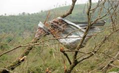 Foto de la galería: Primeras horas después del tornado en Tobuna