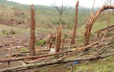 Foto de la galería: Primeras horas después del tornado en Tobuna
