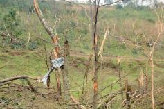 Foto de la galería: Primeras horas después del tornado en Tobuna