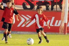 Foto de la galería: Semilleros de Guaraní