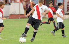 Foto de la galería: Semilleros de Guaraní