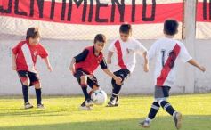 Foto de la galería: Semilleros de Guaraní