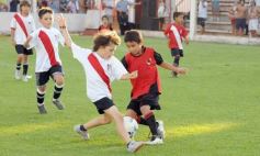 Foto de la galería: Semilleros de Guaraní