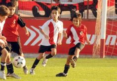 Foto de la galería: Semilleros de Guaraní