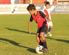 Foto de la galería: Semilleros de Guaraní