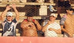 Foto de la galería: Semilleros de Guaraní