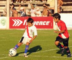 Foto de la galería: Semilleros de Guaraní