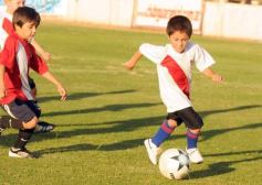 Foto de la galería: Semilleros de Guaraní