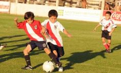 Foto de la galería: Semilleros de Guaraní