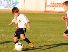 Foto de la galería: Semilleros de Guaraní