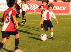 Foto de la galería: Semilleros de Guaraní