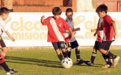 Foto de la galería: Semilleros de Guaraní