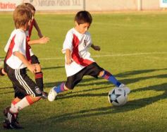 Foto de la galería: Semilleros de Guaraní