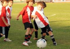 Foto de la galería: Semilleros de Guaraní